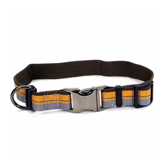 Reflective Collar Orange